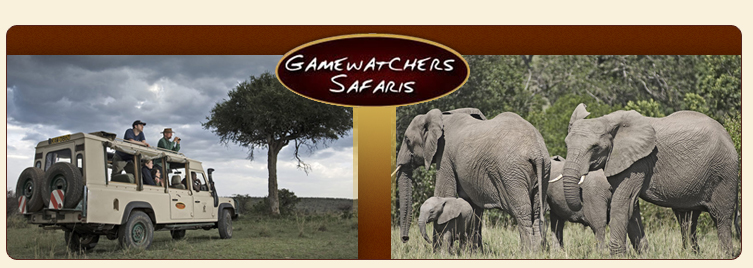 Gamewatchers Safaris